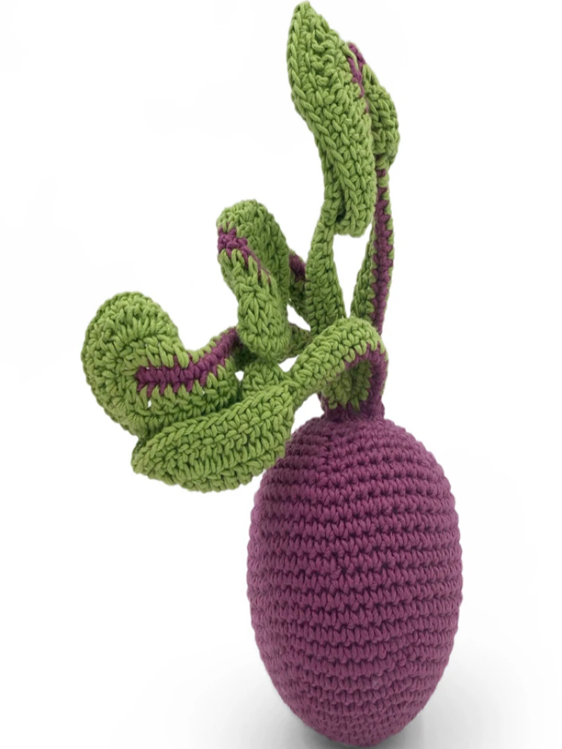 Hochet Peluche Betterave (20 Cm) N/A