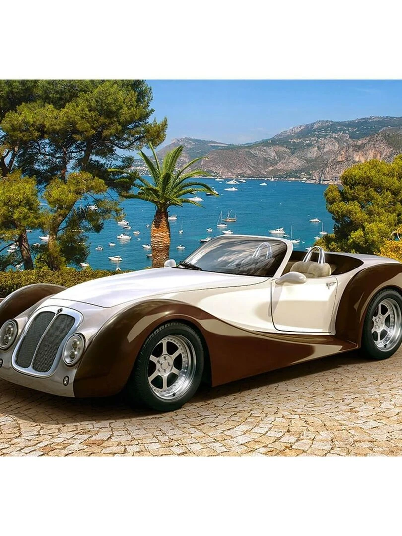 Puzzle 260 pièces : Roadster sur la Riviera N/A