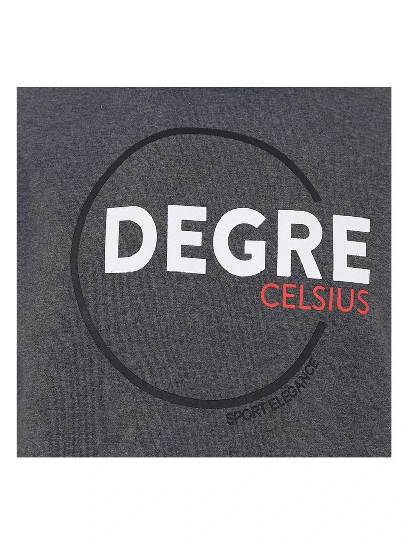 Sweat à capuche homme CINOR   DEGRE CELSIUS   Gris