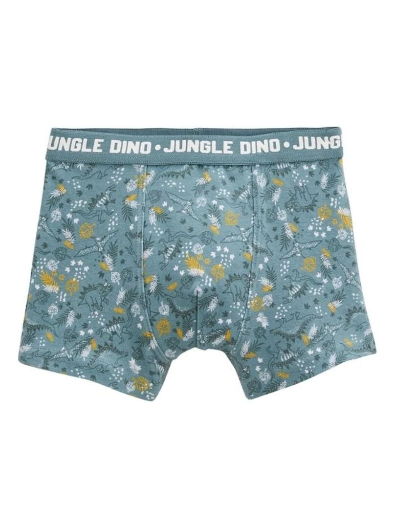 Lot de 2 boxers garçon Dino Jungle   Kaki