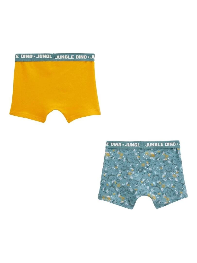Lot de 2 boxers garçon Dino Jungle Kaki