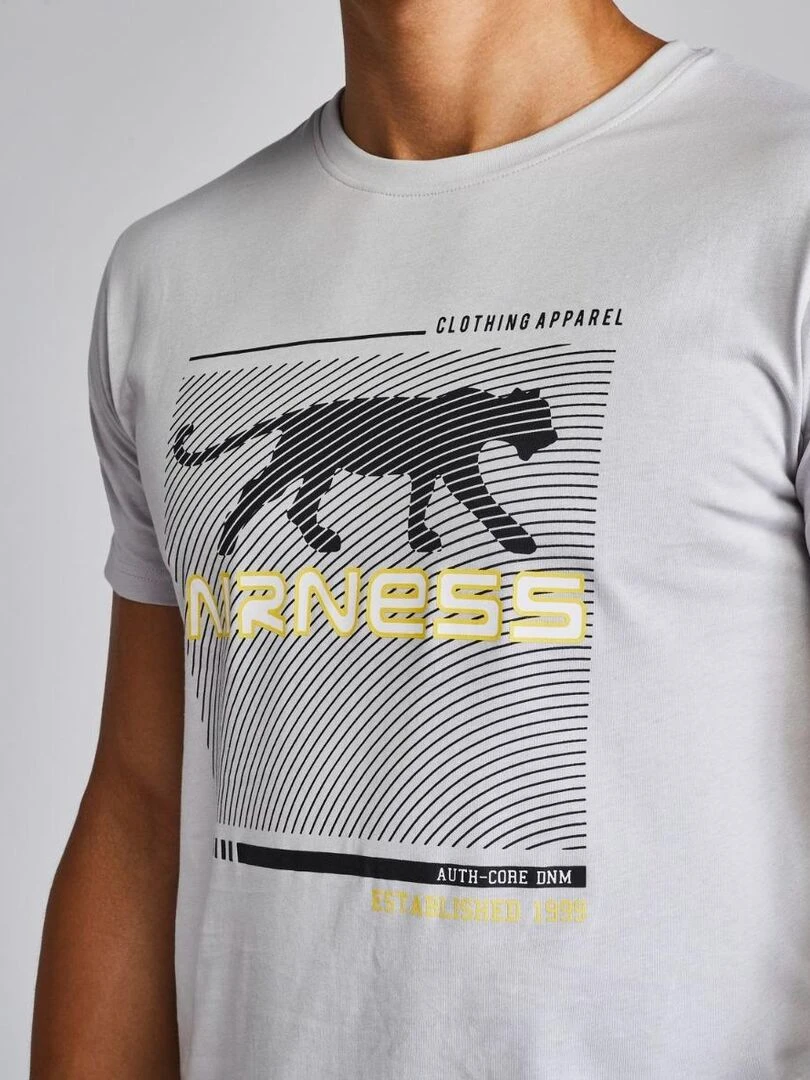 TEE SHIRT EMPREINTE Airness   Gris