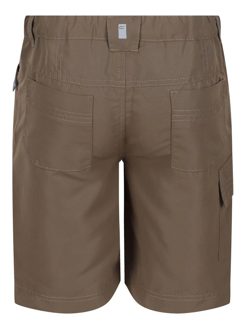 Regatta Short SORCER Marron