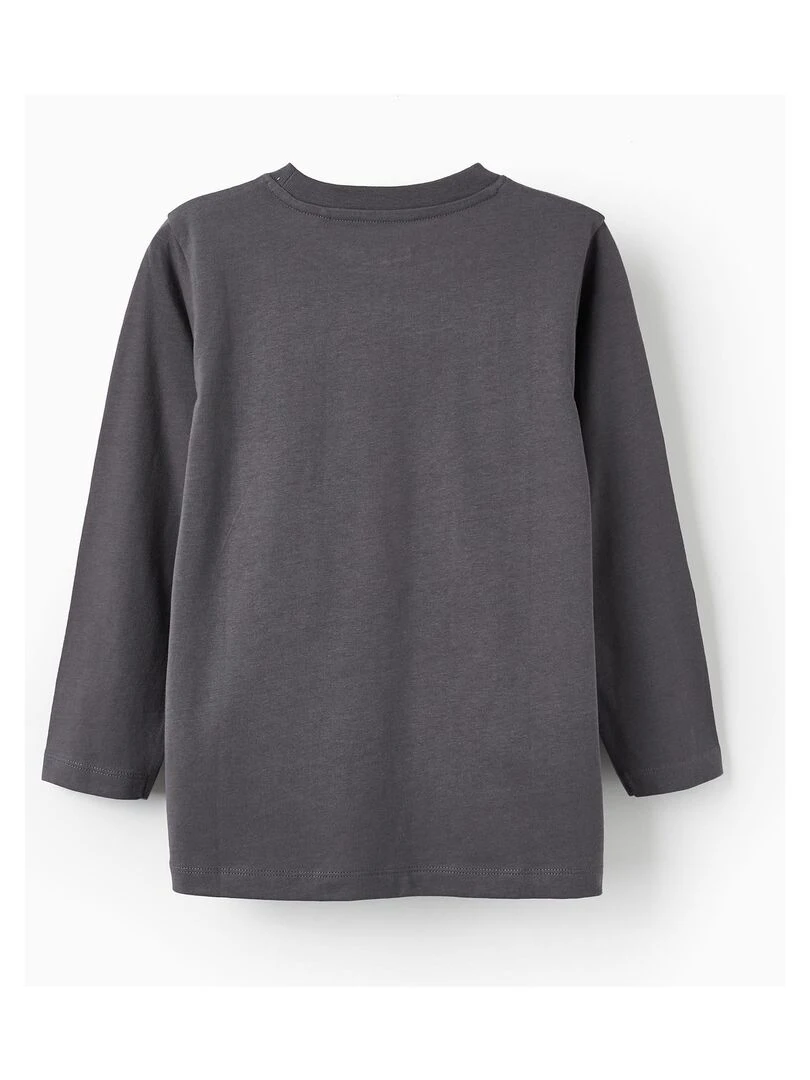 T shirt à manches longues pour garçon 'Bahamas' manches longues Gris