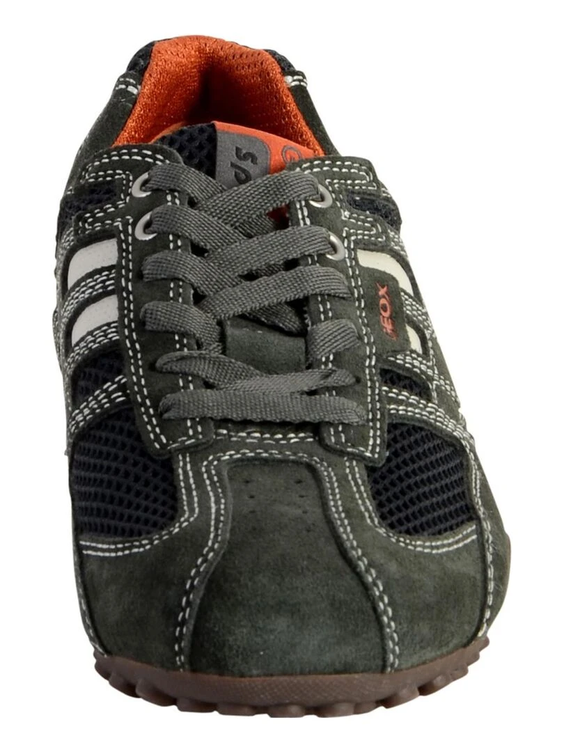 Basket Geox U Snake K   Gris