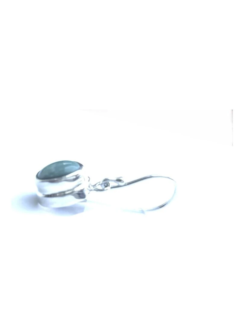Boucles d'oreilles turquoise véritable Bijoucolor Argent