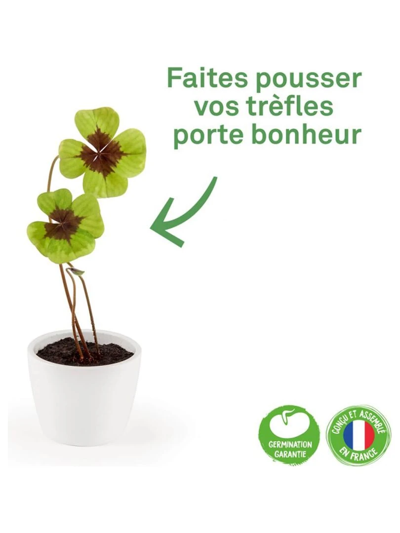 Kit de jardinage : Pot céramique Trèfle à 4 feuilles   N/A