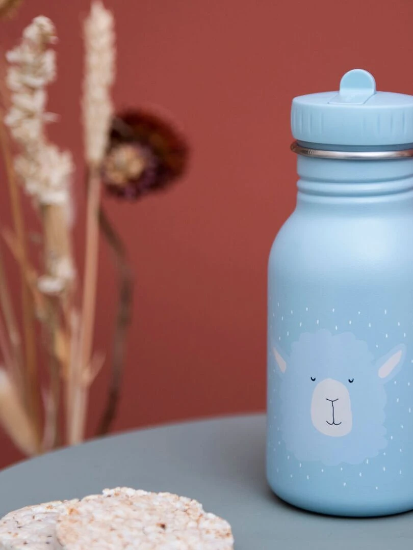 Gourde enfant 350ml MR. ALPACA   N/A