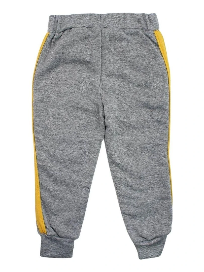 Disney Pantalon De Jogging garçon imprimé Le Roi Lion Gris