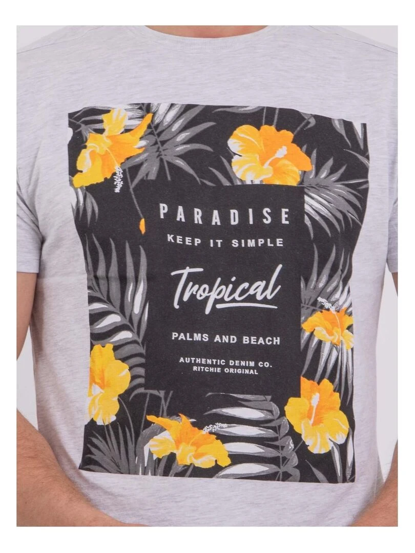 T shirt manches courtes col rond pur coton NOCTAVIO   Gris