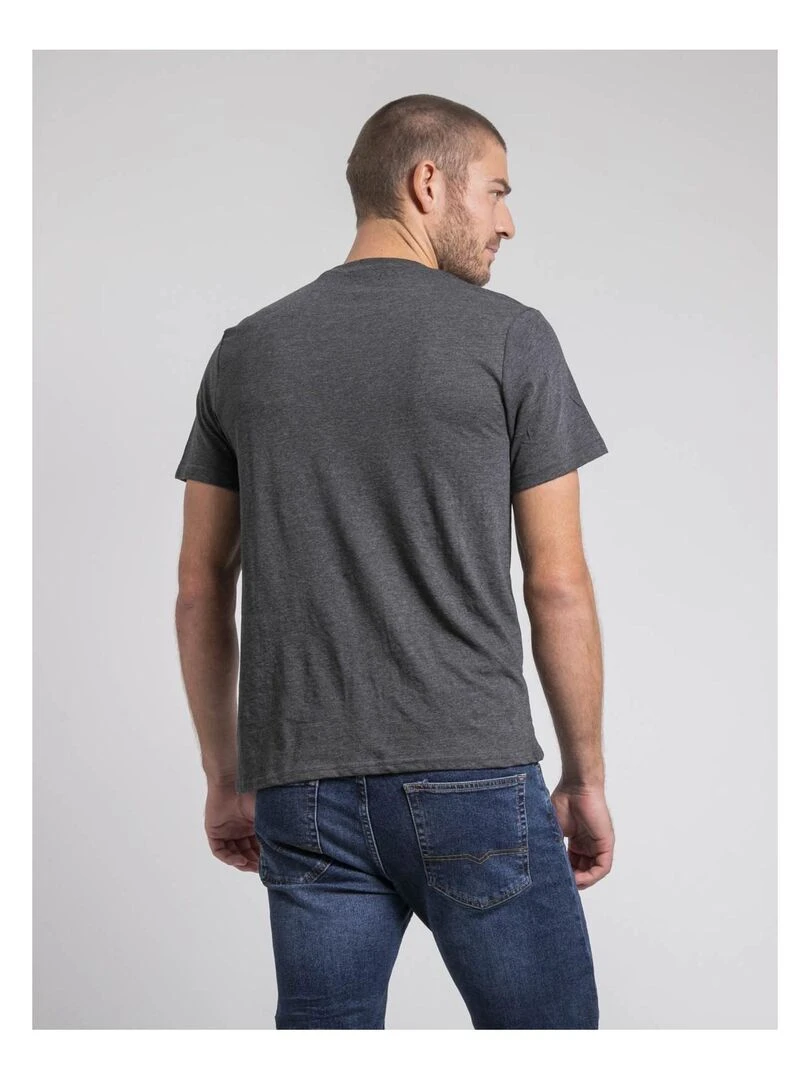 T shirt col rond pur coton JIMINAL Gris