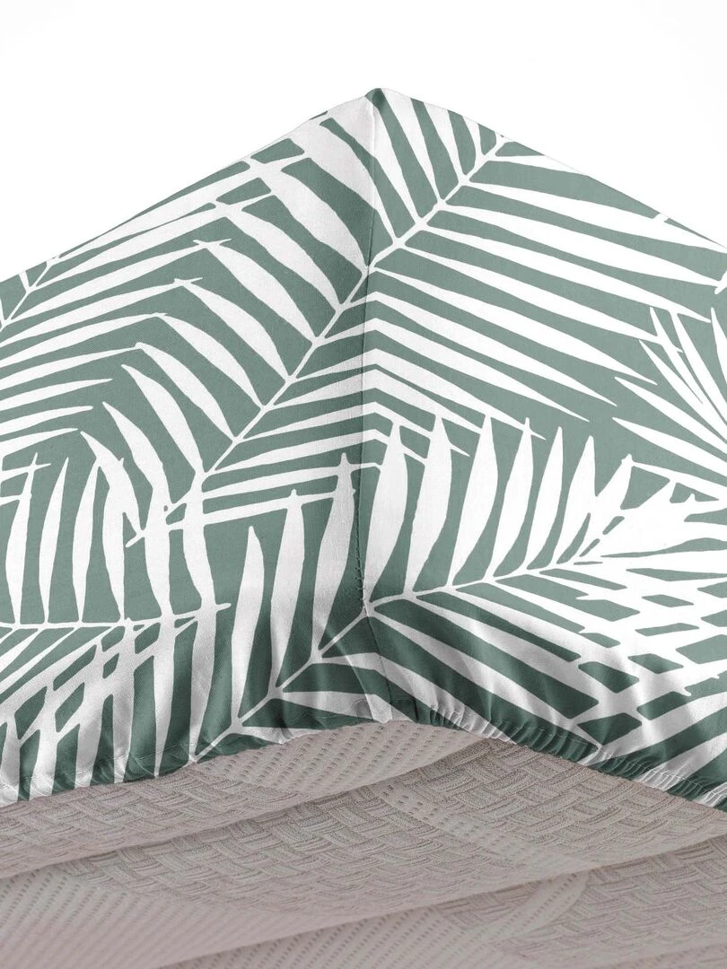 Drap housse Collection Botania   Gris