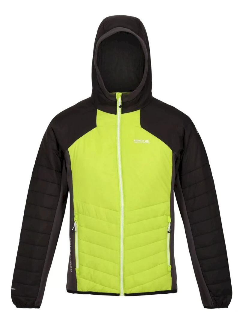 Regatta Veste softshell TRUTTON Gris Vert