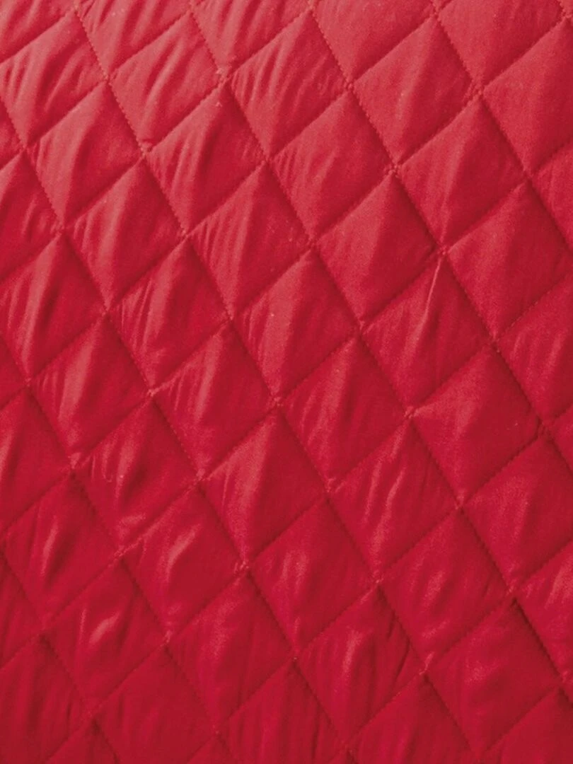 Protège canapé 2 places uni Club rouge   Rouge