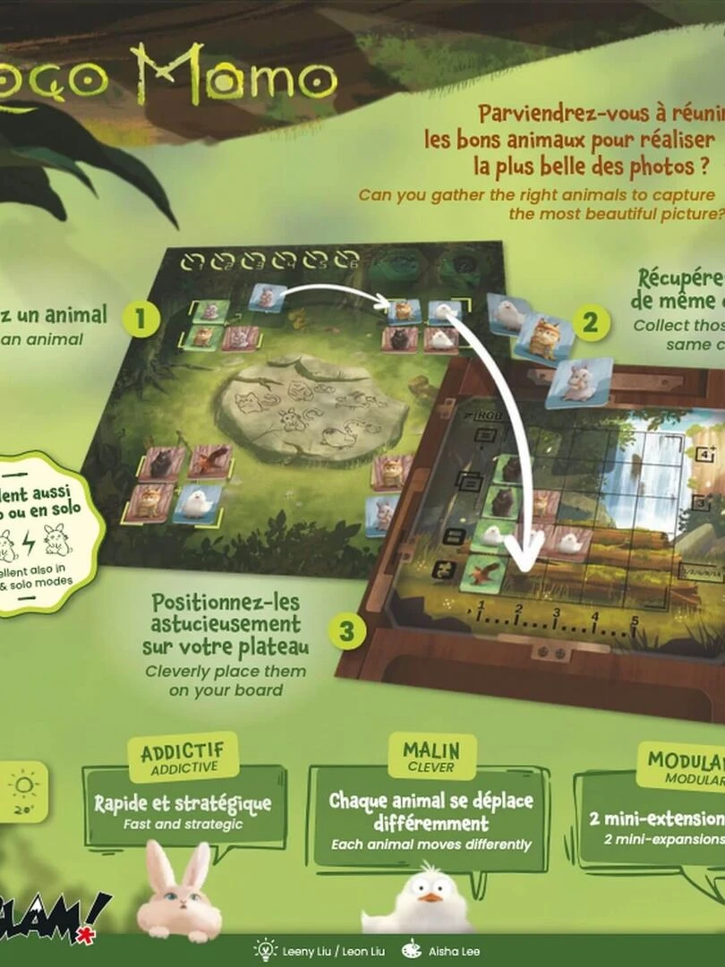Jeu de stratégie : Loco Momo   N/A