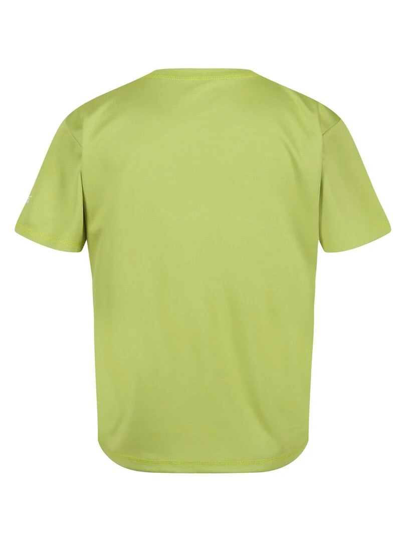 Regatta T shirt ALVARADO Vert
