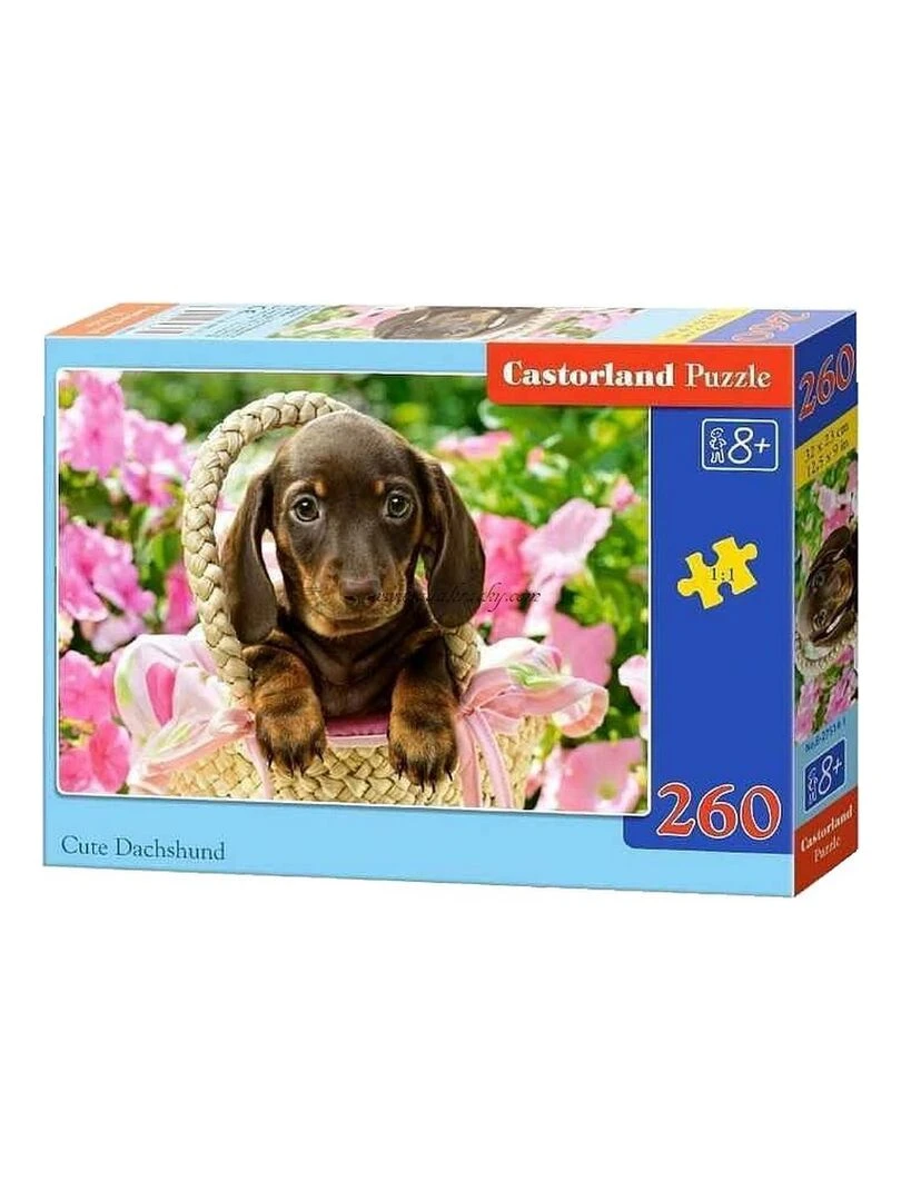 Puzzle 260 pièces : Mignon Teckel N/A