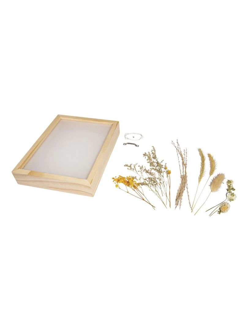 Kit cadre en bois avec fleurs séchées Multicolore