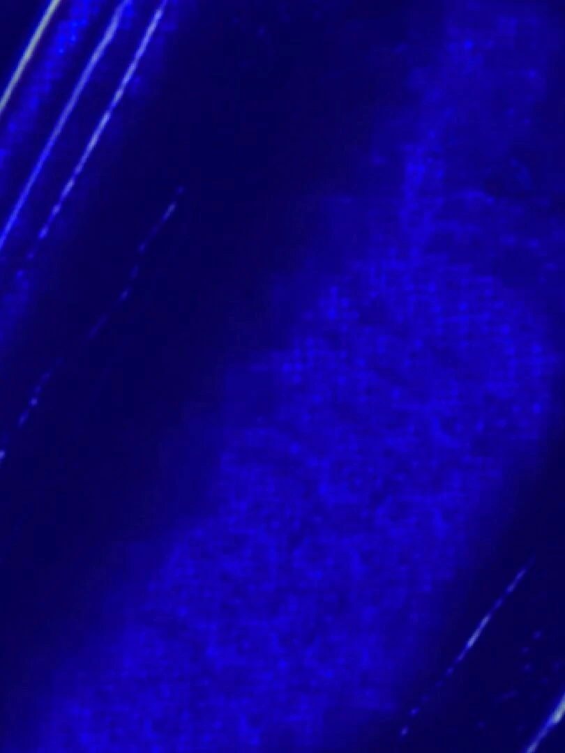 Peinture à l'huile fine XL Studio   Bleu outremer   200 ml   N/A