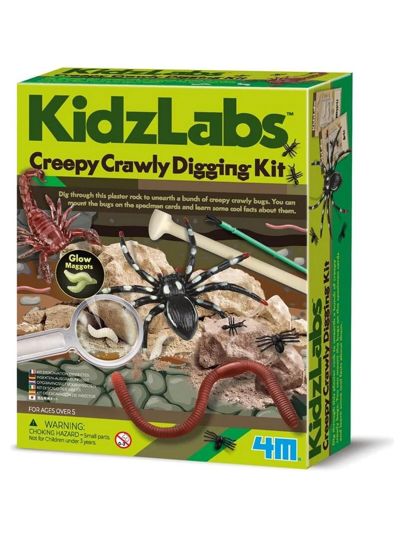 Découverte de la science Kit des insectes rampants N/A