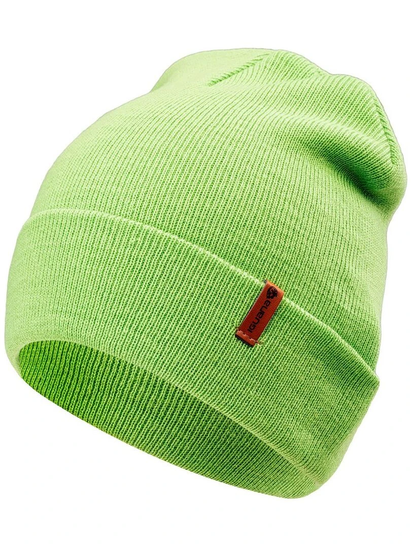 Iguana   Bonnet d'hiver SEINE   Adulte   Vert clair