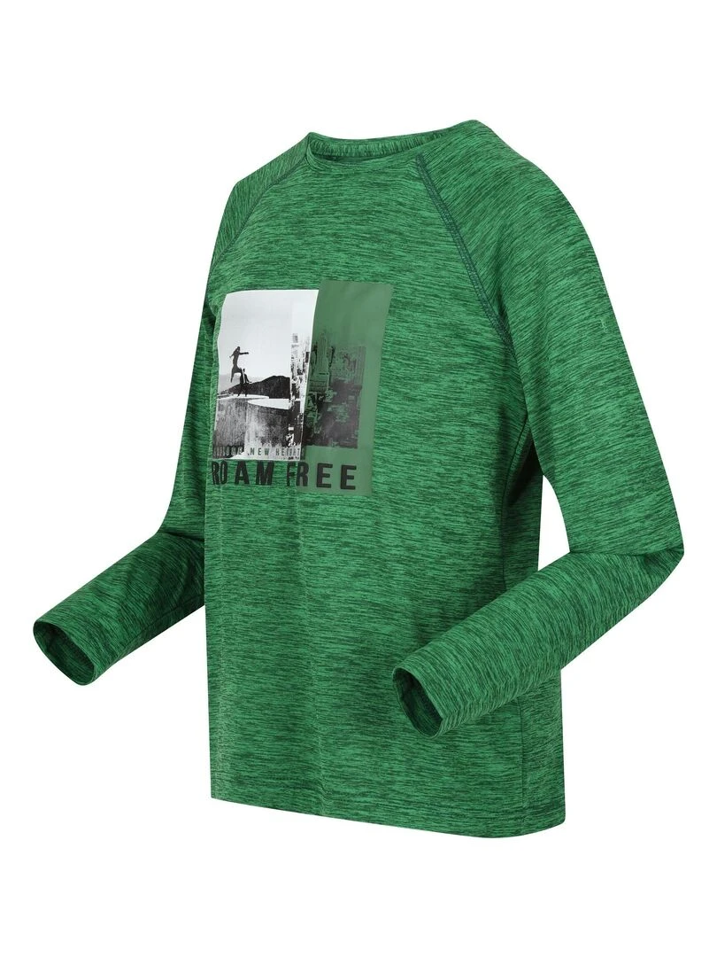 Regatta   T shirt BURNLEE ROAM FREE   Vert foncé
