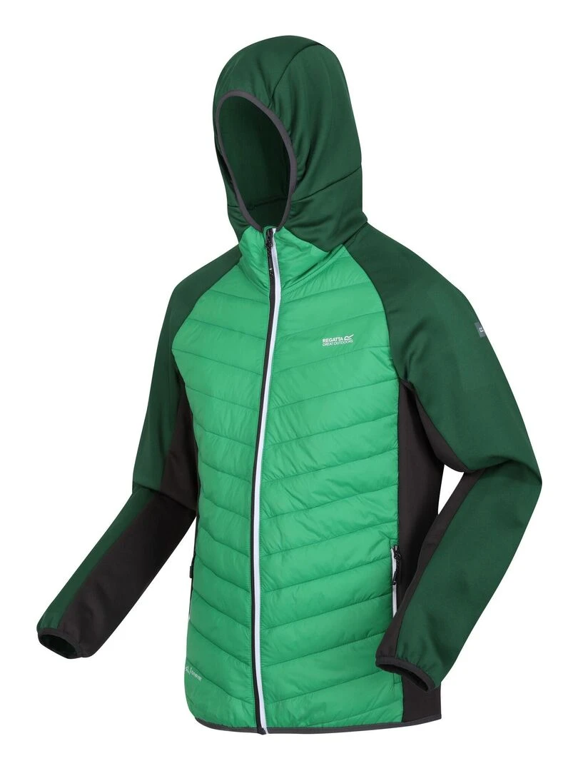 Regatta   Veste hybride ANDRESON   Vert