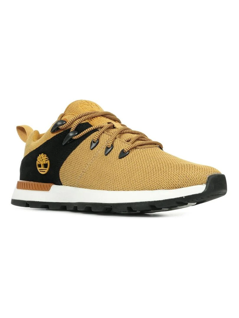 Baskets Timberland Sprint Trekr Low Knit Marron