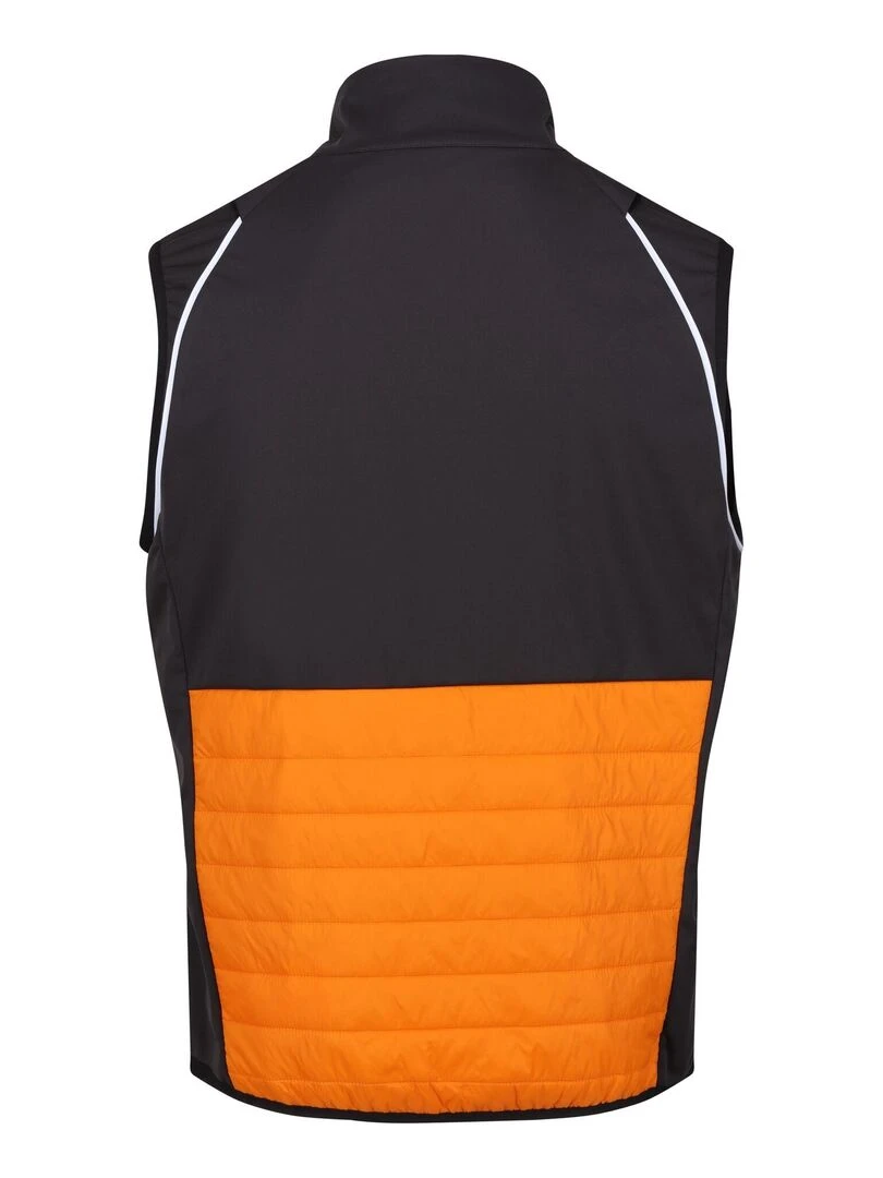 Regatta   Veste softshell STEREN HYBRID   Orange