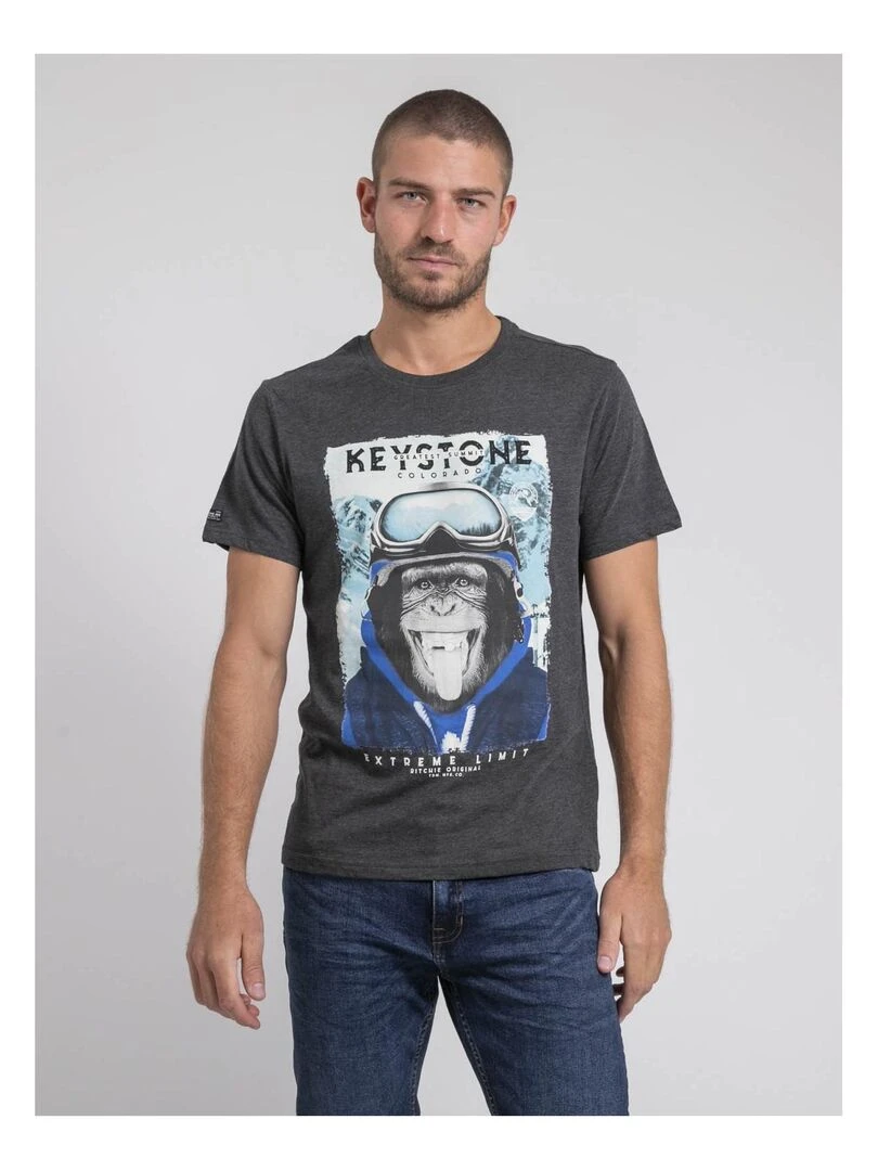 T shirt col rond pur coton JACOSKI Gris foncé