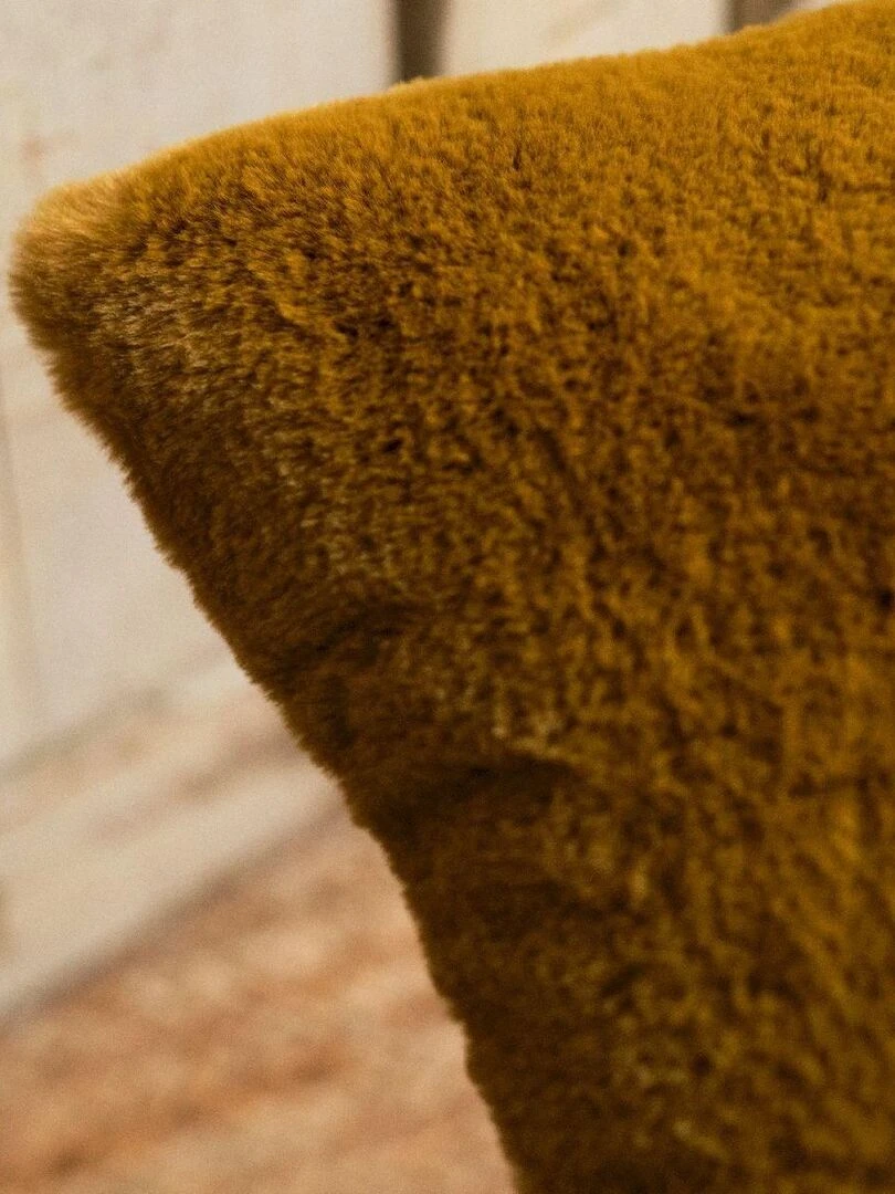 Coussin 'INDIES' 'TODAY'   Bronze