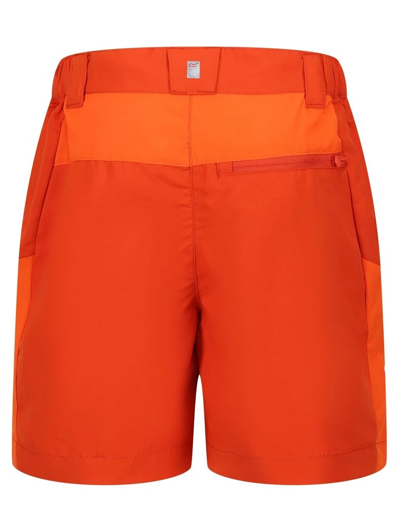 Regatta Short SORCER MOUNTAIN Rouge bordeaux