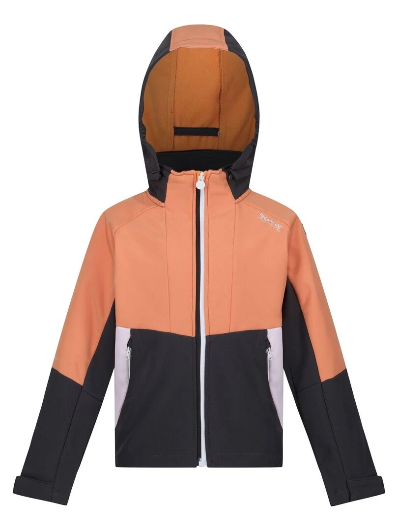 Regatta Veste softshell HAYDENBURY Gris Orange