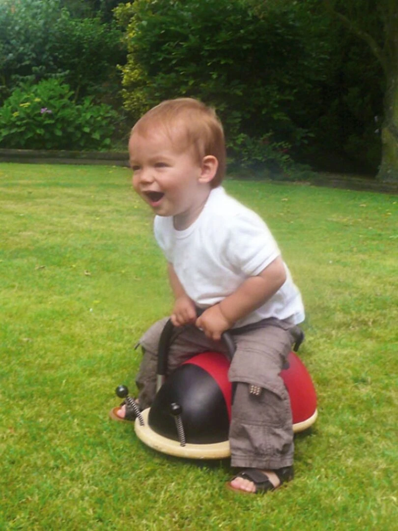 Porteur Wheely Bug Coccinelle (petit Modèle)   N/A