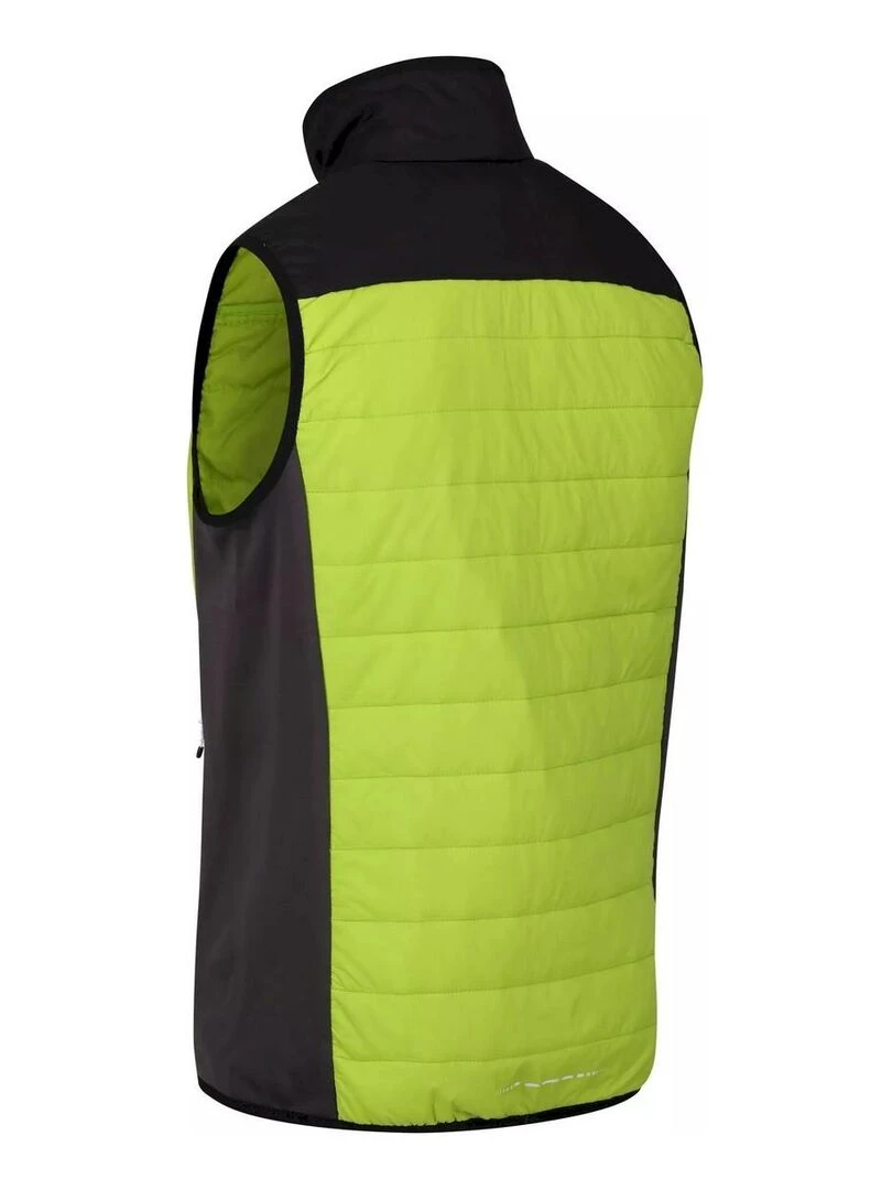 Regatta   Veste sans manches HALTON   Gris Vert