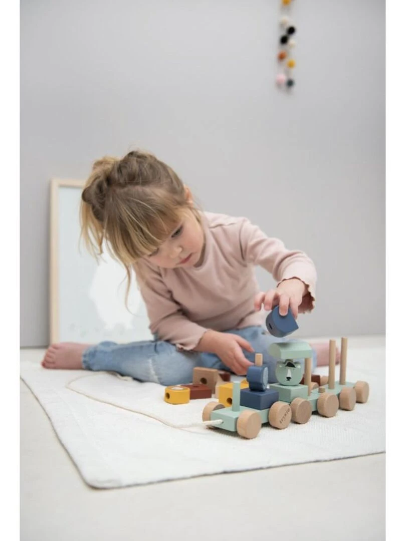 Train en bois animaux Trixie Multicolore