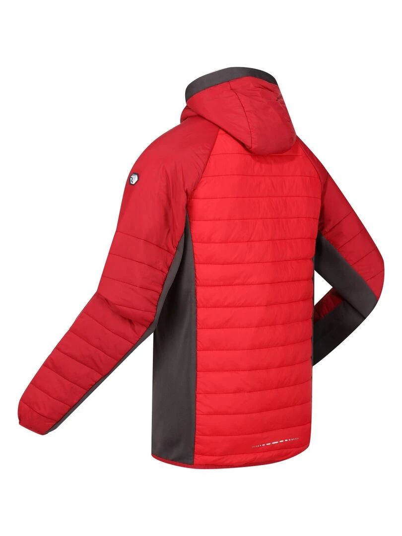 Regatta   Veste softshell TRUTTON   Rouge foncé