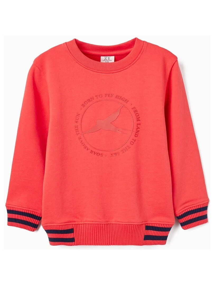 Sweat en coton avec motif en relief pour garçon FLYING BIRDS Rose