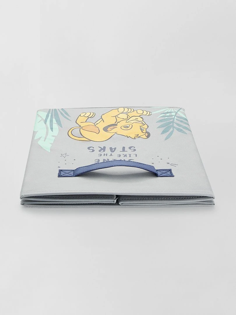 Cube de rangement 'Disney'   simba