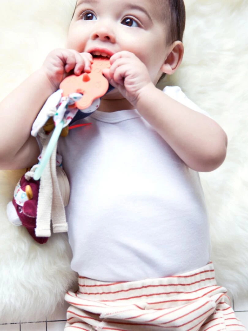 Trousseau d'activités sensoriel Ferme   N/A