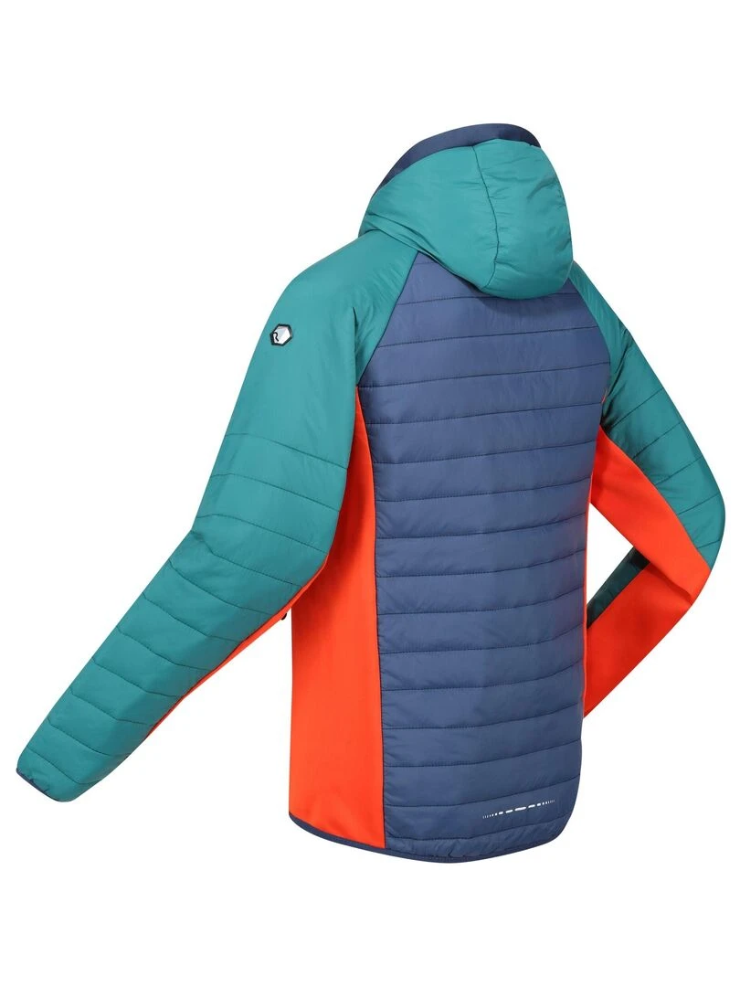 Regatta   Veste softshell TRUTTON   Bleu Rouge