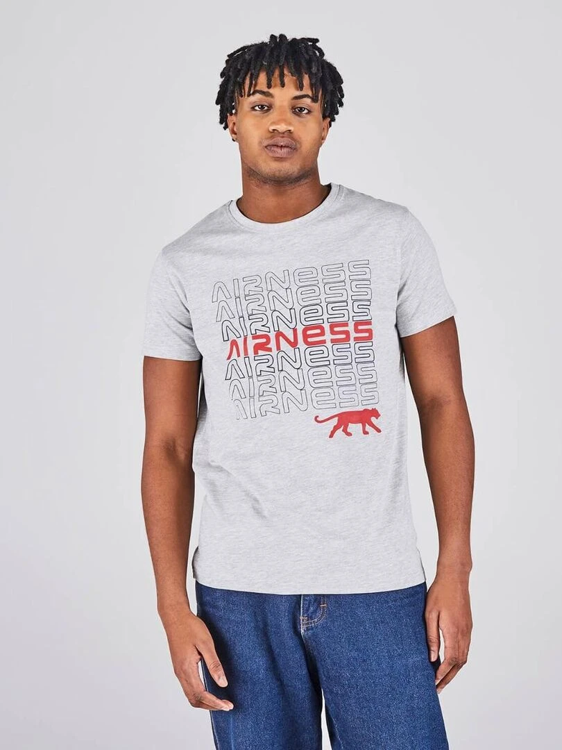 TEE SHIRT DJENNE Airness Gris