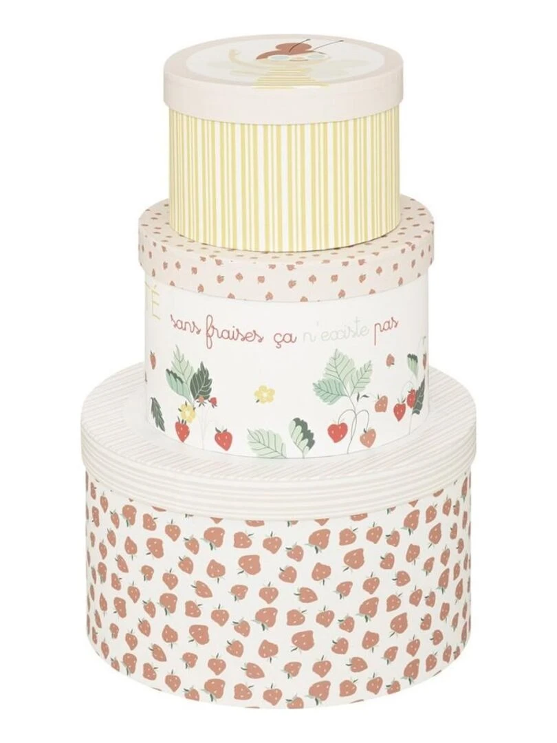 Lot de 3 boites carton Summer Rose
