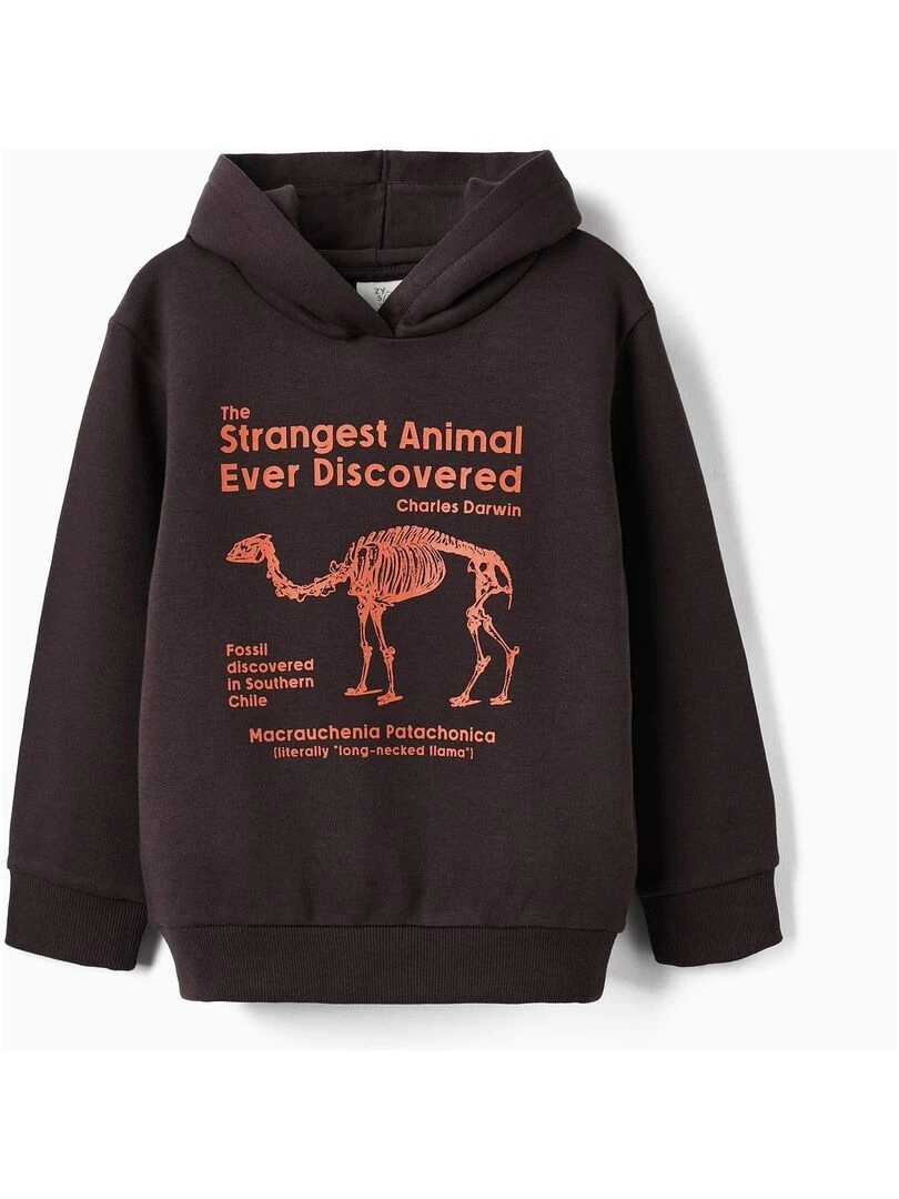 Sweat à capuche pour garçon 'Animaux les plus étranges' DIFFERENT TOGETHER Gris foncé