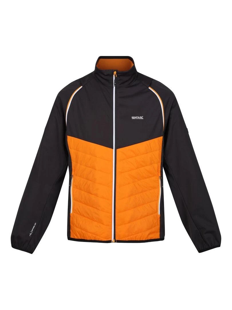 Regatta Veste softshell STEREN HYBRID Orange