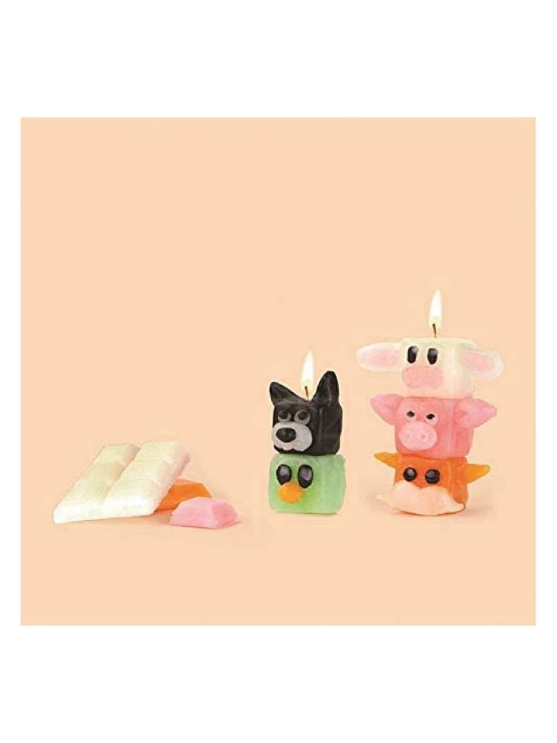 Kit Bougies A Modeler Totems Animaux Rigolos   N/A