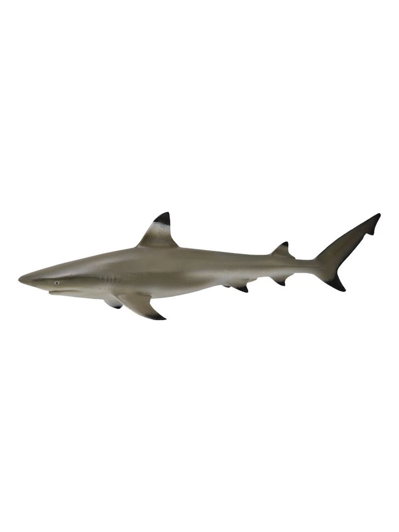 Figurine : requin à pointes noires N/A