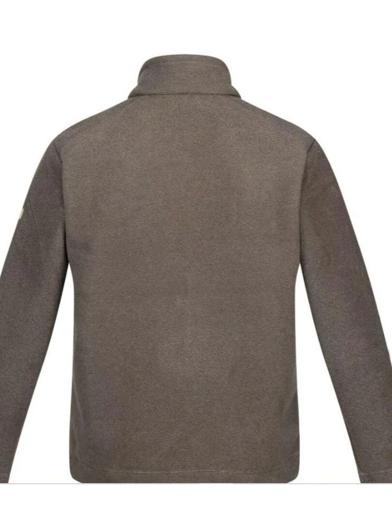 Regatta Veste polaire GARRIAN Beige foncé