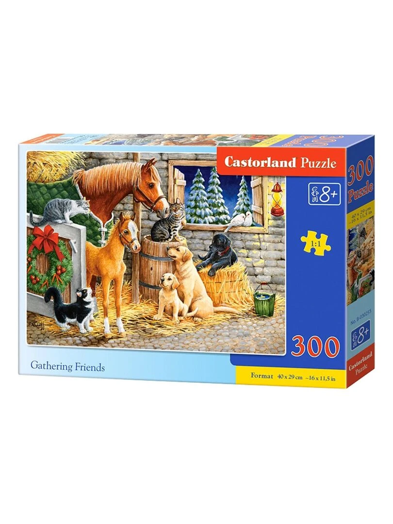Puzzle 300 pièces ! Les amis rassemblés N/A