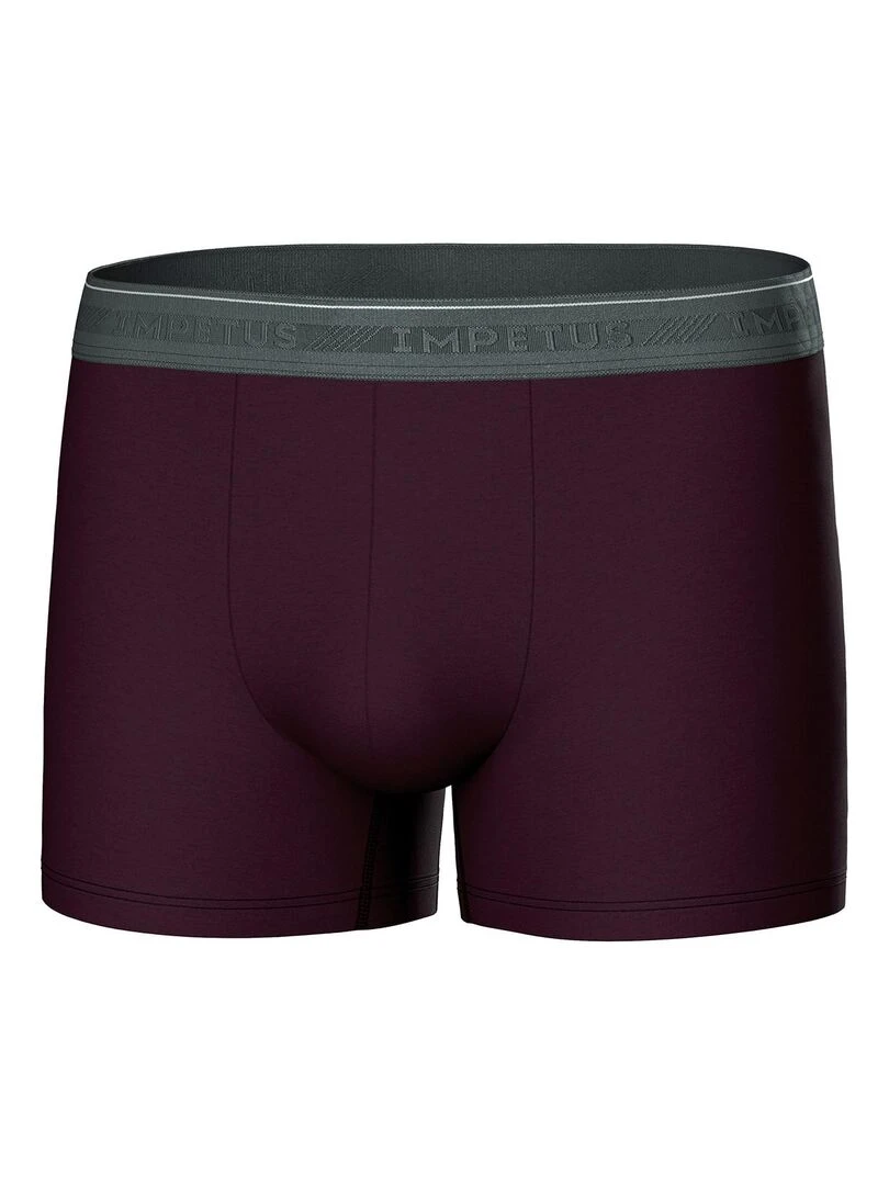 Pack de 3 boxers en coton bio   Gris